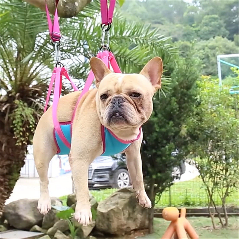 Arnés de hamaca para mascotas + kit de cortauñas